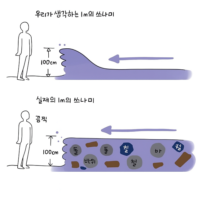 우리가 상상하는 1m 쓰나미와 현실 1m 쓰나미
